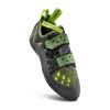 Olive/Neon